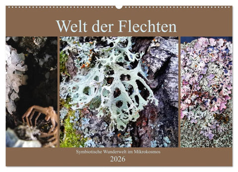 Welt der Flechten (Wandkalender 2026 DIN A2 quer), CALVENDO Monatskalender