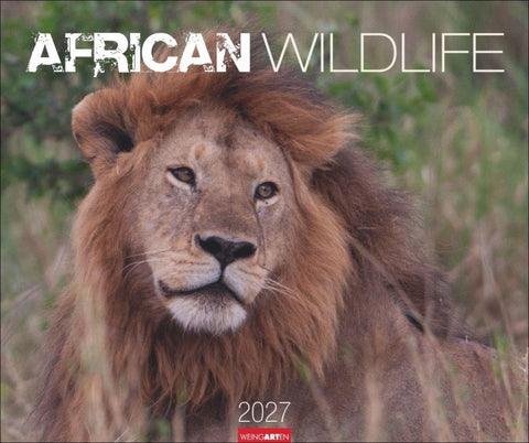 African Wildlife Kalender 2027