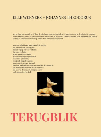 TERUGBLIK