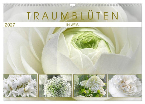 Traumblüten in Weiß (Wandkalender 2027 DIN A3 quer), CALVENDO Monatskalender
