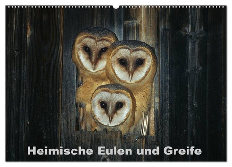 Heimische Eulen und Greife (Wandkalender 2027 DIN A2 quer), CALVENDO Monatskalender
