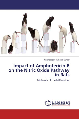 Impact of Amphotericin-B on the Nitric Oxide Pathway in Rats
