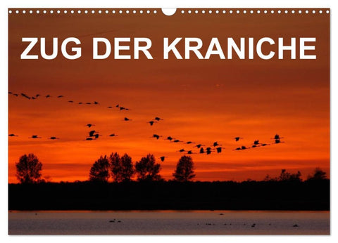 Zug der Kraniche (Wandkalender 2026 DIN A3 quer), CALVENDO Monatskalender