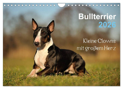 Bullterrier 2026 - Kleine Clowns mit großem Herz (Wandkalender 2026 DIN A4 quer), CALVENDO Monatskalender