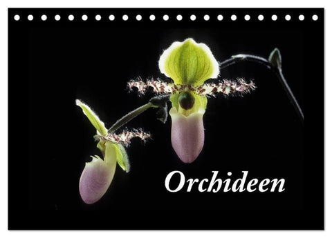 Orchideen 2027 (Tischkalender 2027 DIN A5 quer), CALVENDO Monatskalender