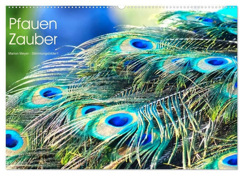 Pfauen Zauber (Wandkalender 2027 DIN A2 quer), CALVENDO Monatskalender