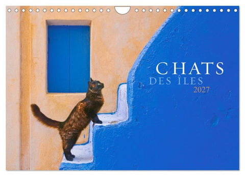 Chats des îles (Calendrier mural 2027 DIN A4 vertical), CALVENDO calendrier mensuel