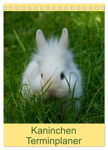 Kaninchen Terminplaner (Tischkalender 2027 DIN A5 hoch), CALVENDO Monatskalender