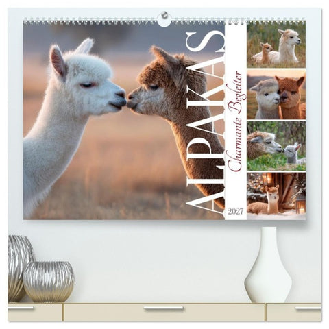 Alpakas - Charmante Begleiter (hochwertiger Premium Wandkalender 2027 DIN A2 quer), Kunstdruck in Hochglanz