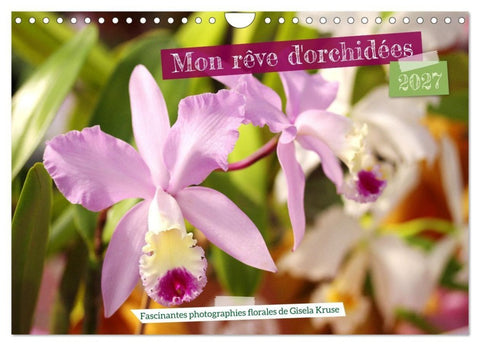 Mon rêve d'orchidées (Calendrier mural 2027 DIN A4 vertical), CALVENDO calendrier mensuel
