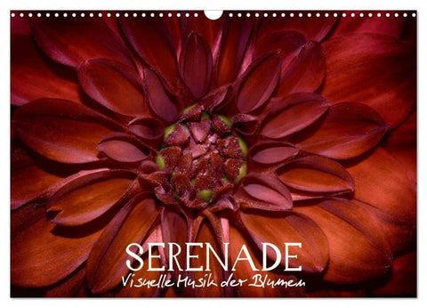 Serenade - Visuelle Musik der Blumen (Wandkalender 2026 DIN A3 quer), CALVENDO Monatskalender
