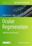 Ocular Regeneration