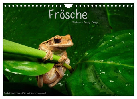 Frösche (Wandkalender 2027 DIN A4 quer), CALVENDO Monatskalender