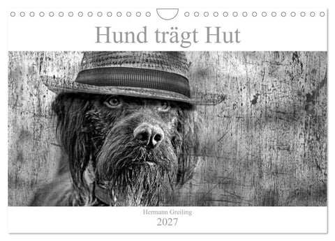 Hund trägt Hut (Wandkalender 2027 DIN A4 quer), CALVENDO Monatskalender