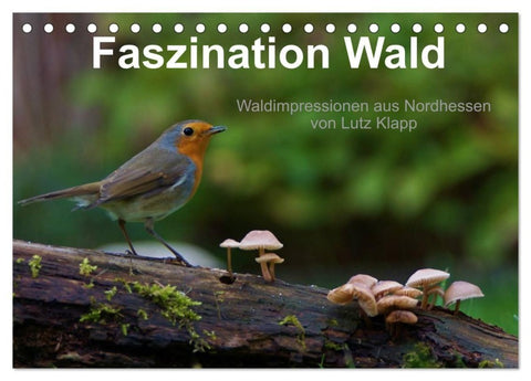 Faszination Wald. Waldimpressionen aus Nordhessen von Lutz Klapp (Tischkalender 2027 DIN A5 quer), CALVENDO Monatskalender