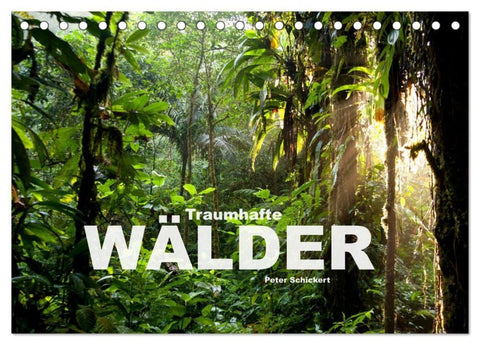 Traumhafte Wälder (Tischkalender 2027 DIN A5 quer), CALVENDO Monatskalender