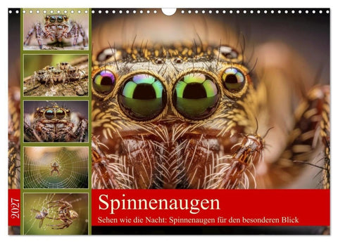 Spinnenaugen (Wandkalender 2027 DIN A3 quer), CALVENDO Monatskalender
