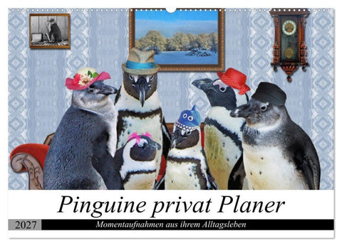 Pinguine privat Planer (Wandkalender 2027 DIN A2 quer), CALVENDO Monatskalender