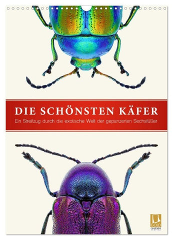 Die schönsten Käfer (Wandkalender 2027 DIN A3 hoch), CALVENDO Monatskalender