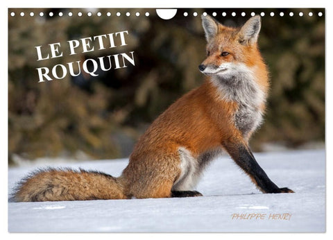 LE PETIT ROUQUIN (Calendrier mural 2027 DIN A4 vertical), CALVENDO calendrier mensuel