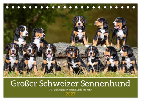 Großer Schweizer Sennenhund - Mit Schweizer Welpen durch das Jahr (Tischkalender 2027 DIN A5 quer), CALVENDO Monatskalender