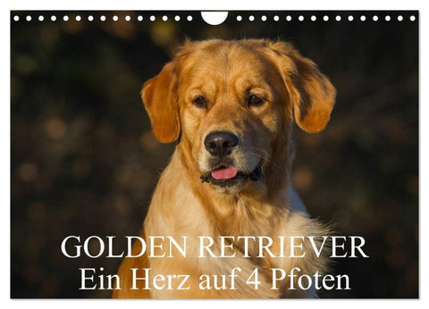 Golden Retriever - Ein Herz auf 4 Pfoten (Wandkalender 2027 DIN A4 quer), CALVENDO Monatskalender