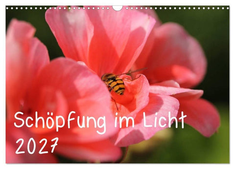 Schöpfung im Licht (Wandkalender 2027 DIN A3 quer), CALVENDO Monatskalender