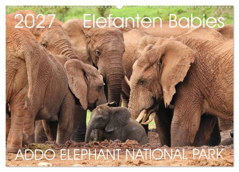 ADDO ELEPHANT NATIONAL PARK Elefanten Babies (Wandkalender 2027 DIN A2 quer), CALVENDO Monatskalender