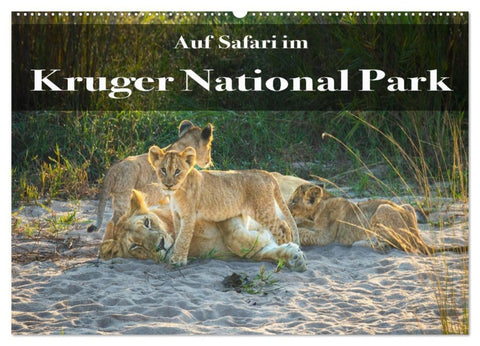 Auf Safari im Kruger National Park (Wandkalender 2027 DIN A2 quer), CALVENDO Monatskalender