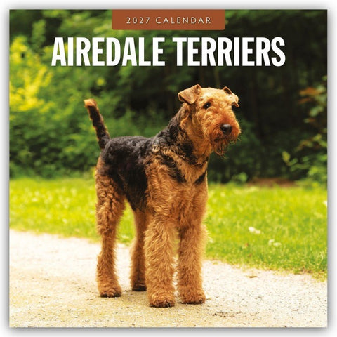 Airdale Terriers – Airdale Terrier 2027 – 16-Monatskalender