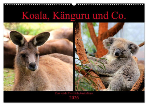 Koala, Känguru und Co. – Das wilde Tierreich Australiens (Wandkalender 2026 DIN A2 quer), CALVENDO Monatskalender