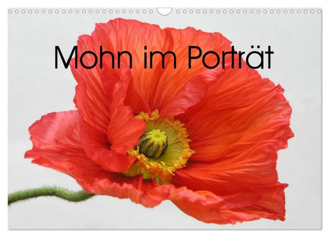 Mohn im Porträt (Wandkalender 2027 DIN A3 quer), CALVENDO Monatskalender