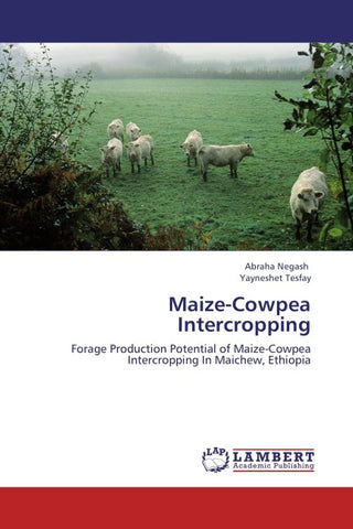 Maize-Cowpea Intercropping