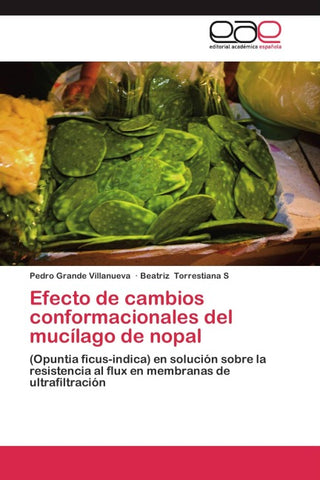 Efecto de cambios conformacionales del mucílago de nopal
