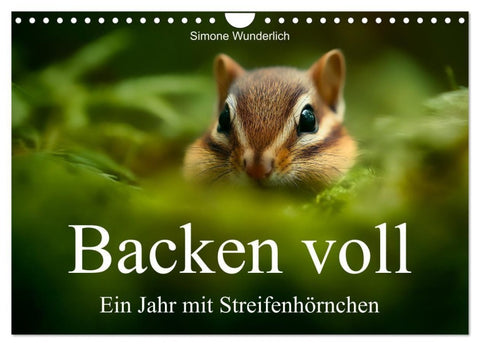 Backen voll - Ein Jahr mit Streifenhörnchen (Wandkalender 2027 DIN A4 quer), CALVENDO Monatskalender