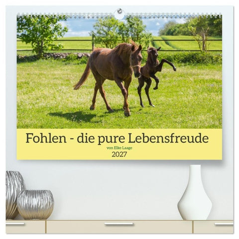 Fohlen - die pure Lebensfreude (hochwertiger Premium Wandkalender 2027 DIN A2 quer), Kunstdruck in Hochglanz