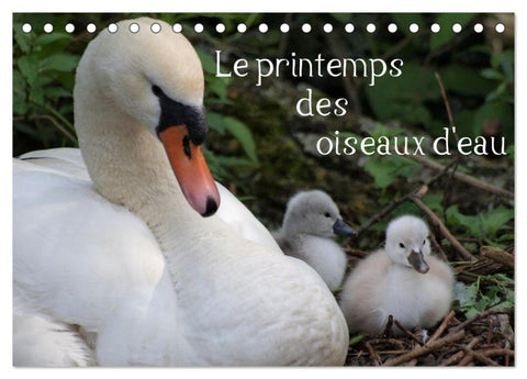 Le printemps des oiseaux d'eau (Calendrier de bureau 2027 DIN A5 vertical), CALVENDO calendrier mensuel