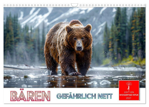 Bären - gefährlich nett (Wandkalender 2027 DIN A3 quer), CALVENDO Monatskalender