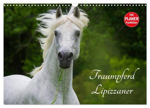 Traumpferd Lipizzaner (Wandkalender 2027 DIN A3 quer), CALVENDO Monatskalender