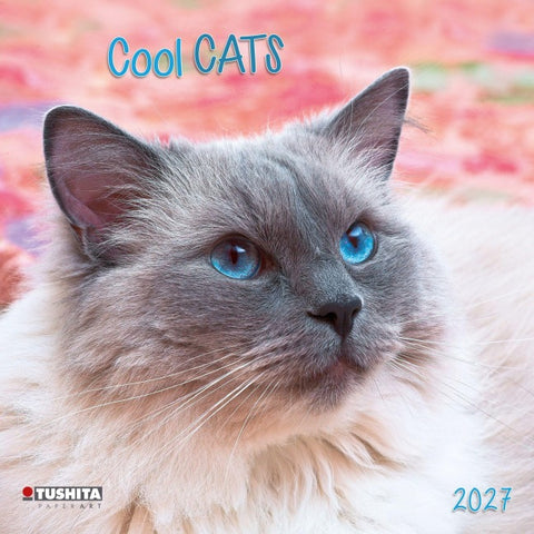 Cool Cats 2027