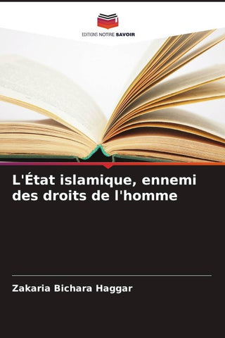 L'État islamique, ennemi des droits de l'homme