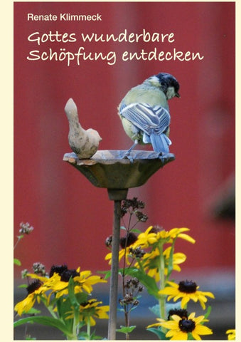 Gottes wunderbare Schöpfung entdecken