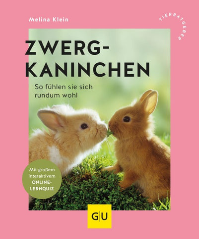 Zwergkaninchen