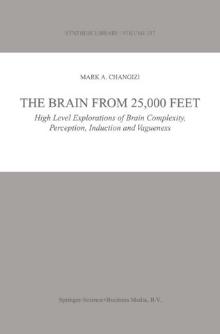 The Brain from 25,000 Feet