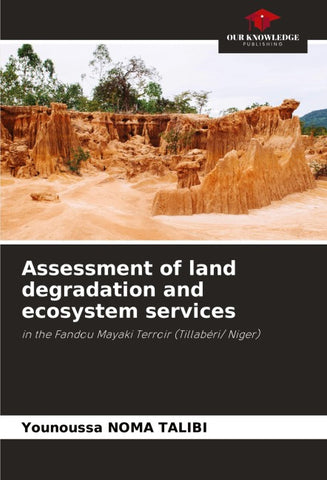 Assessment of land degradation and ecosystem services