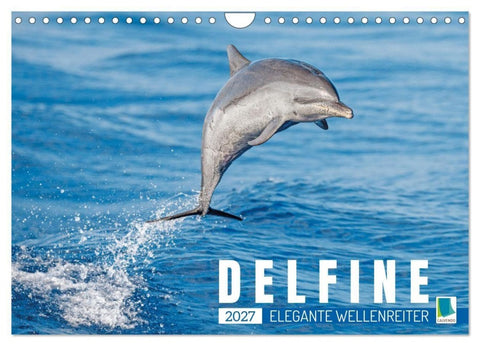 Delfine: Elegante Wellenreiter (Wandkalender 2027 DIN A4 quer), CALVENDO Monatskalender