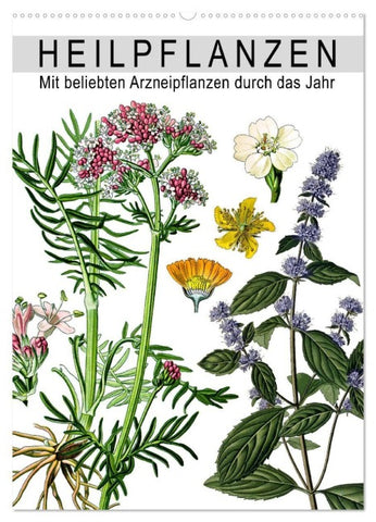 Heilpflanzen (Wandkalender 2027 DIN A2 hoch), CALVENDO Monatskalender