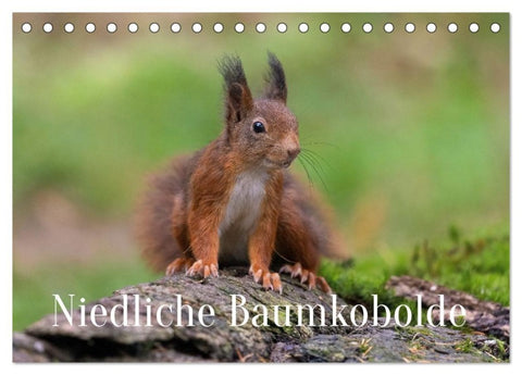 Niedliche Baumkobolde (Tischkalender 2027 DIN A5 quer), CALVENDO Monatskalender