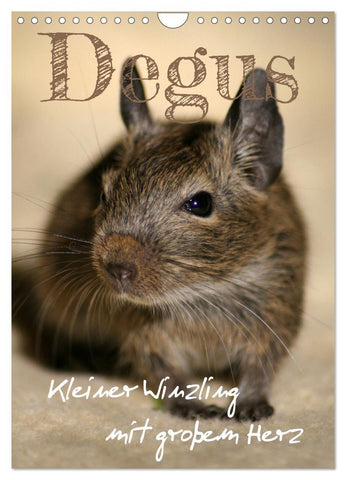 Degus - Winzlinge mit großem Herz (Wandkalender 2027 DIN A4 hoch), CALVENDO Monatskalender