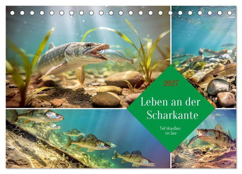 Leben an der Scharkante (Tischkalender 2027 DIN A5 quer), CALVENDO Monatskalender